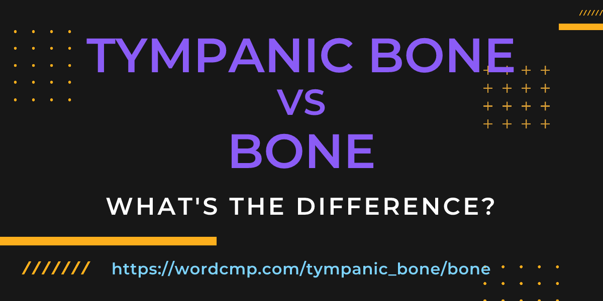 Difference between tympanic bone and bone