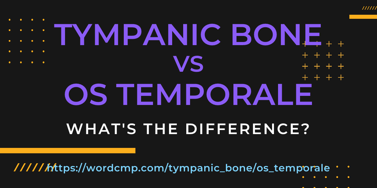 Difference between tympanic bone and os temporale