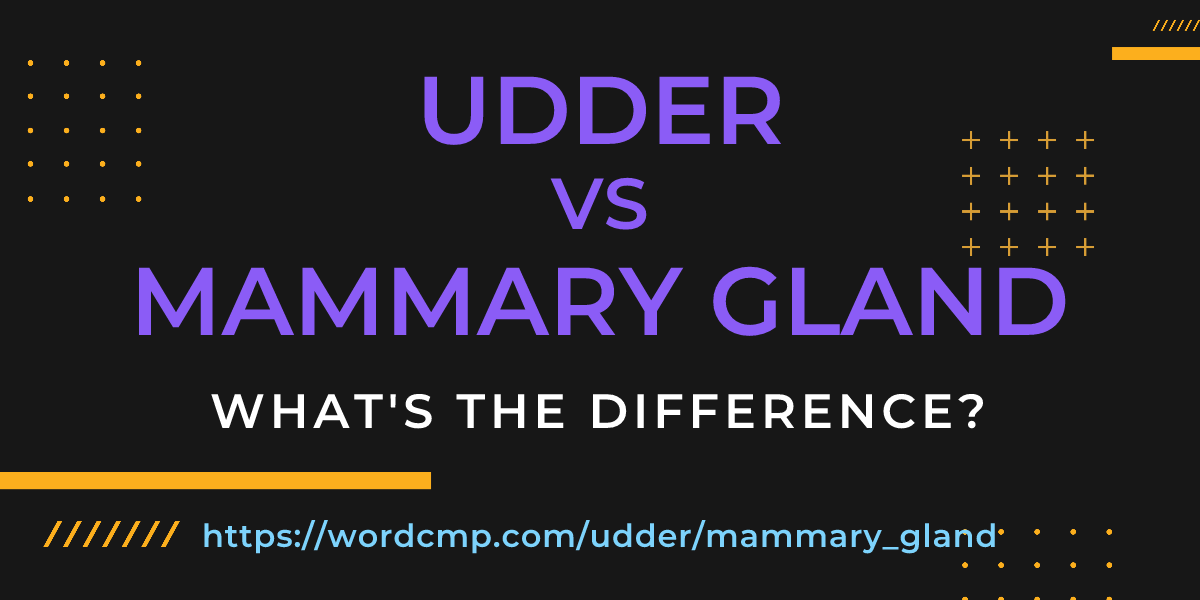 Difference between udder and mammary gland