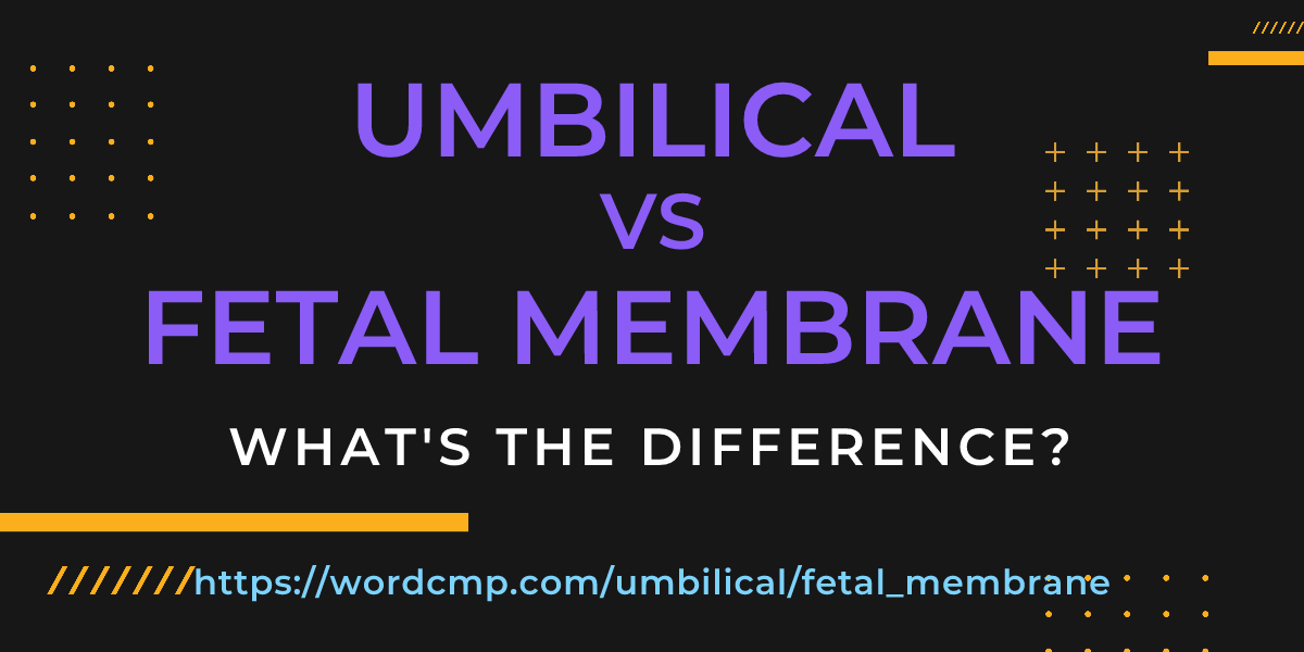 Difference between umbilical and fetal membrane