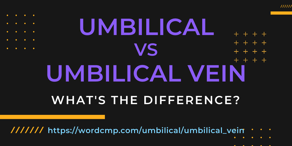 Difference between umbilical and umbilical vein