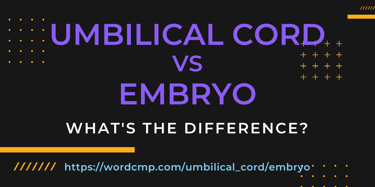 Difference between umbilical cord and embryo