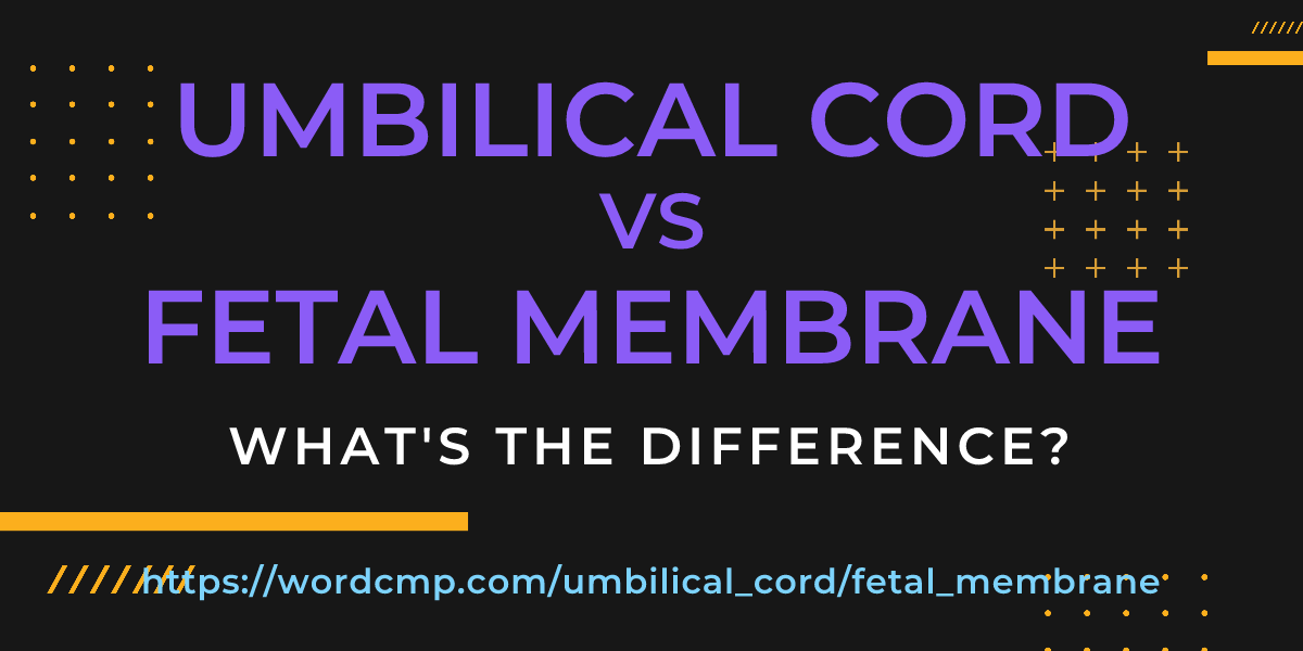 Difference between umbilical cord and fetal membrane