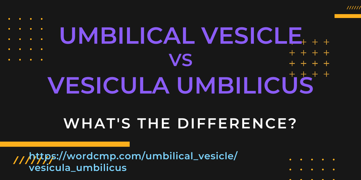 Difference between umbilical vesicle and vesicula umbilicus