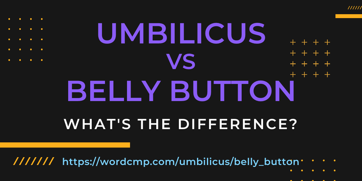Difference between umbilicus and belly button