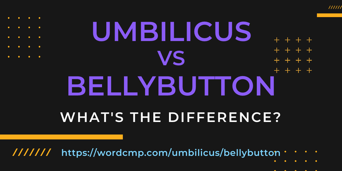 Difference between umbilicus and bellybutton
