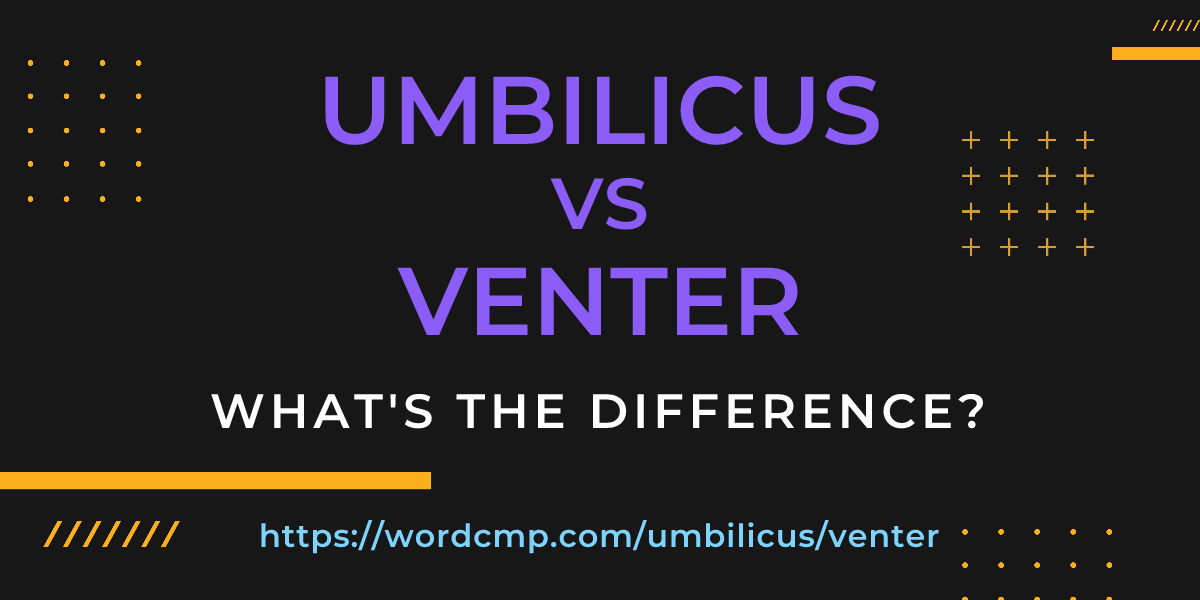 Difference between umbilicus and venter