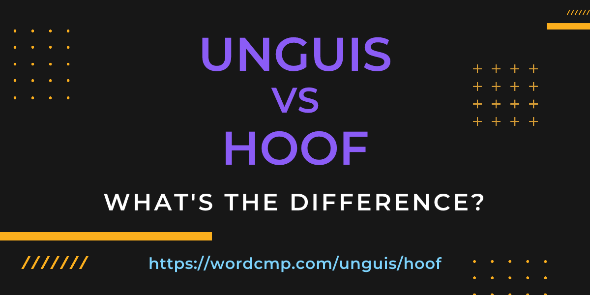Difference between unguis and hoof