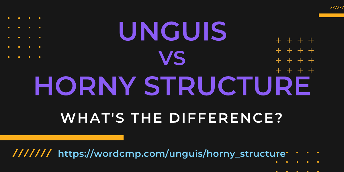 Difference between unguis and horny structure