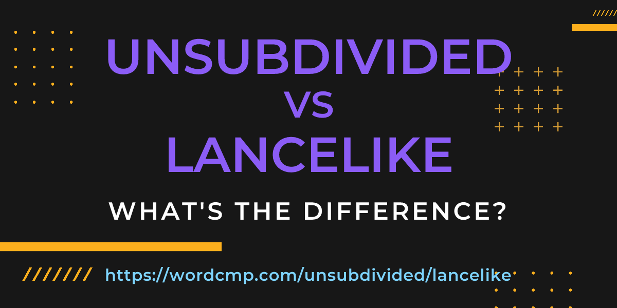 Difference between unsubdivided and lancelike