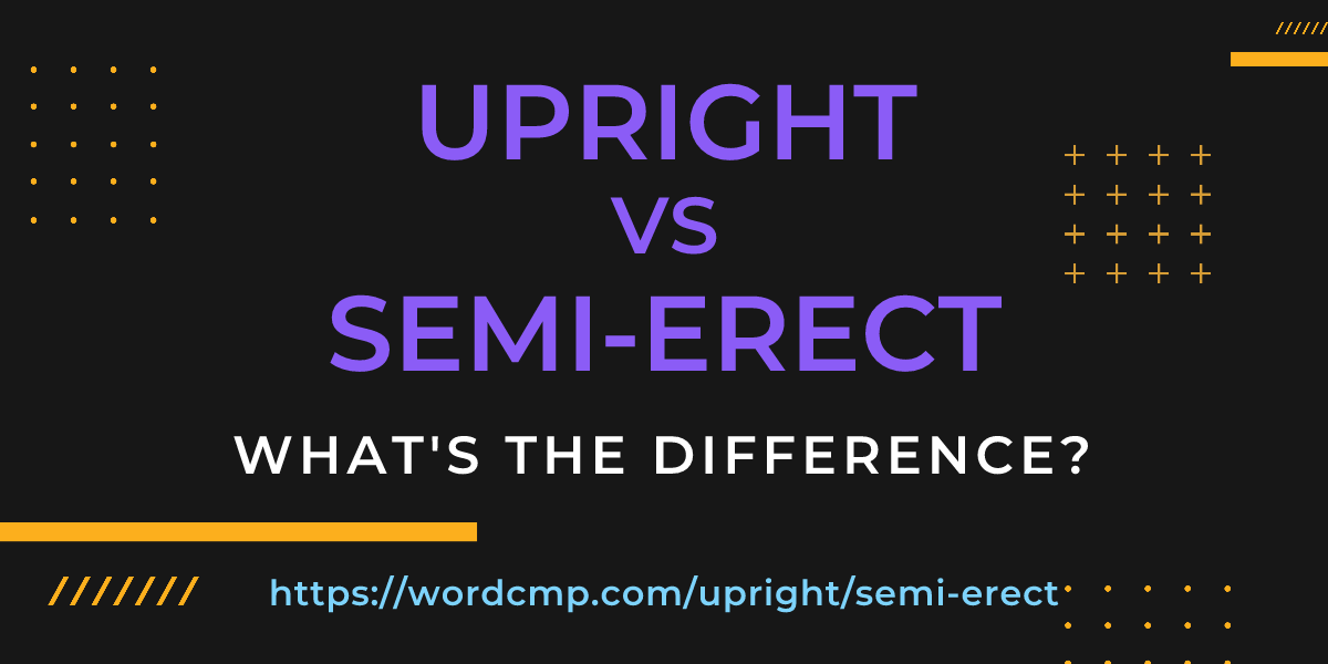 Difference between upright and semi-erect