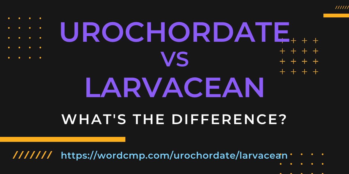 Difference between urochordate and larvacean