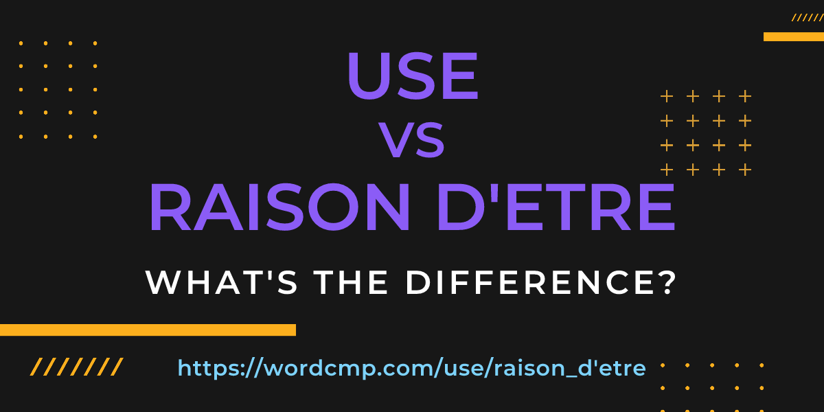 Difference between use and raison d'etre