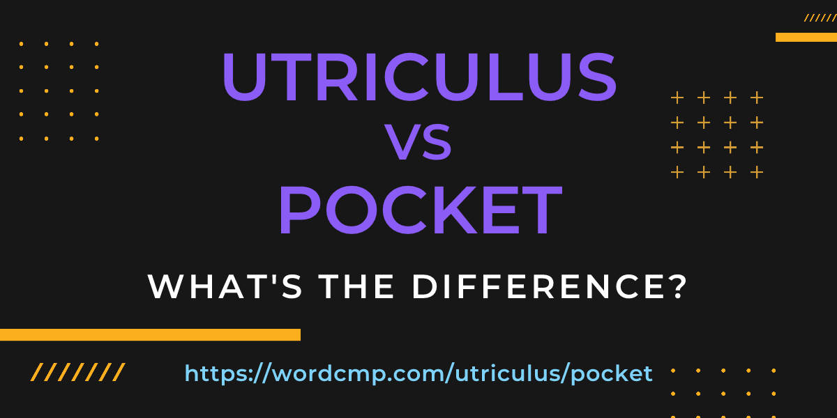 Difference between utriculus and pocket