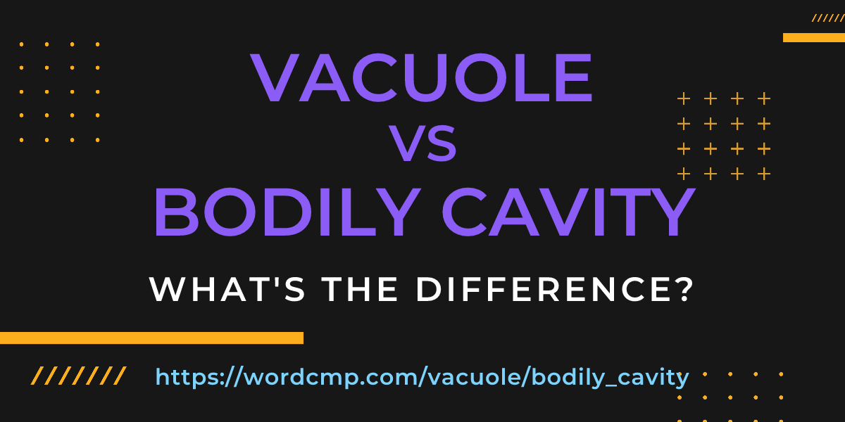 Difference between vacuole and bodily cavity