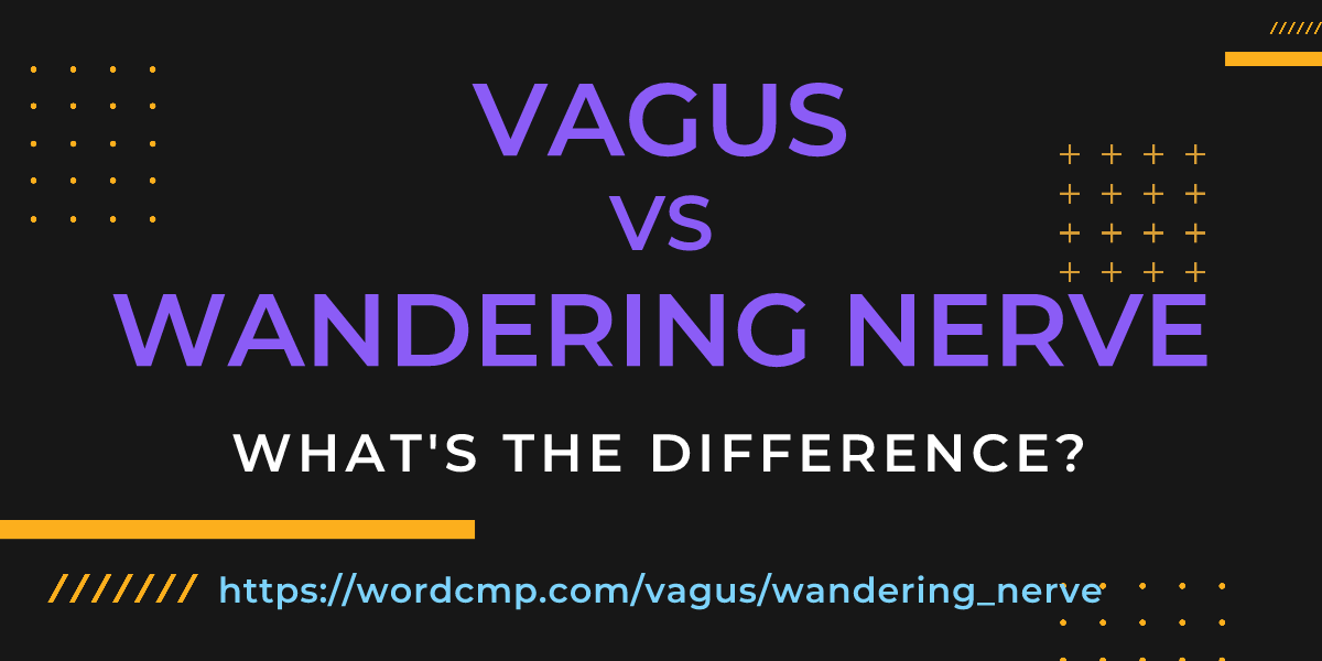 Difference between vagus and wandering nerve