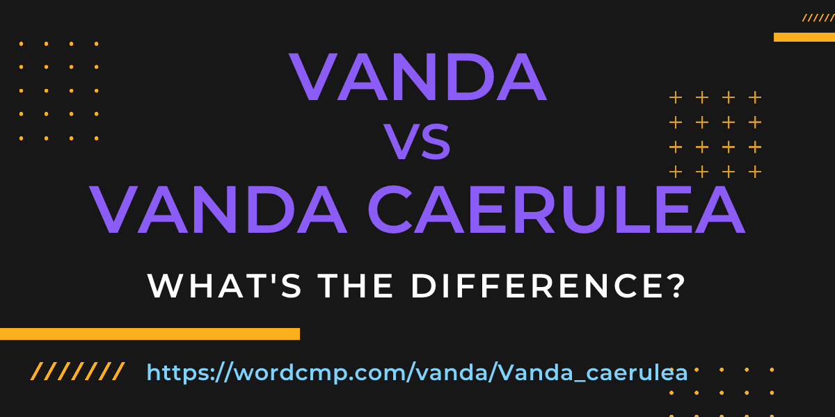 Difference between vanda and Vanda caerulea