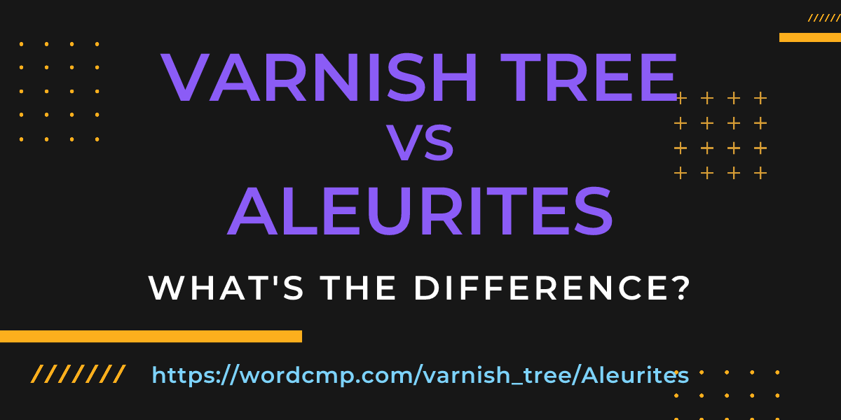 Difference between varnish tree and Aleurites