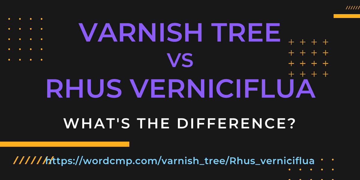 Difference between varnish tree and Rhus verniciflua