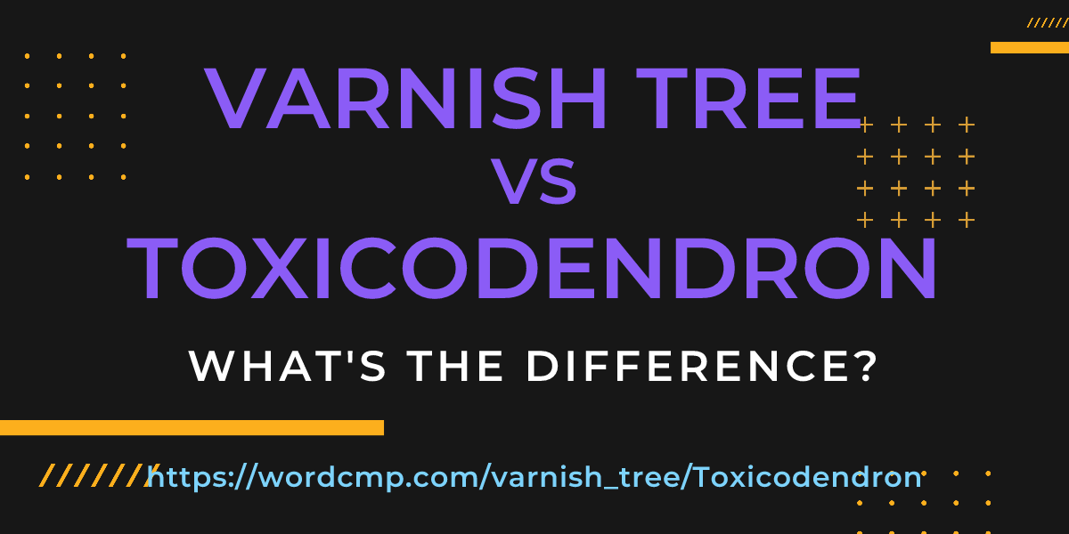 Difference between varnish tree and Toxicodendron