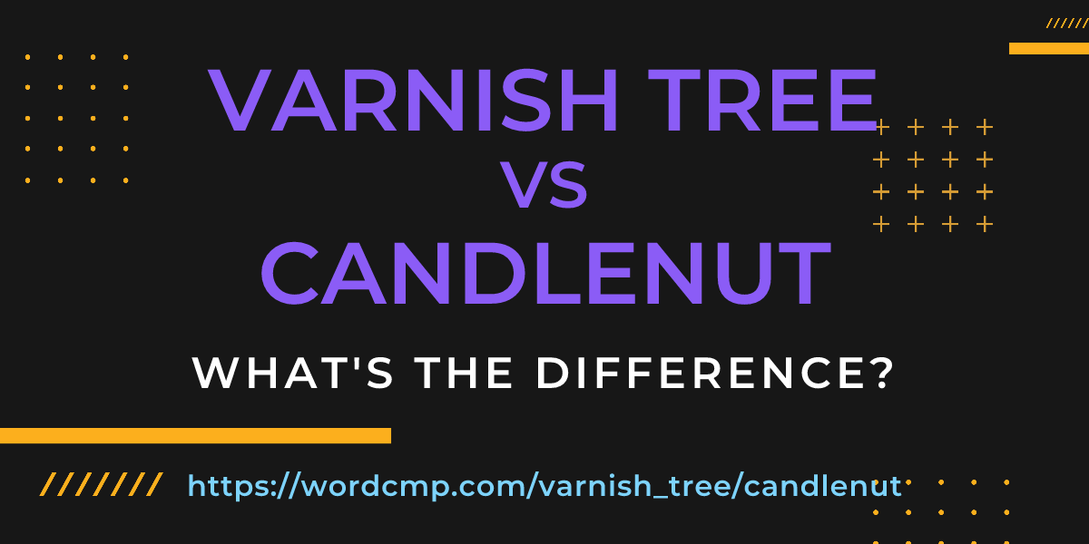 Difference between varnish tree and candlenut