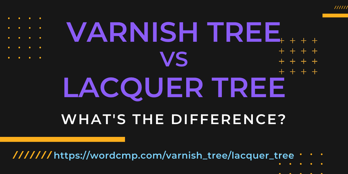 Difference between varnish tree and lacquer tree