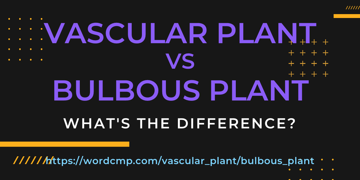 Difference between vascular plant and bulbous plant