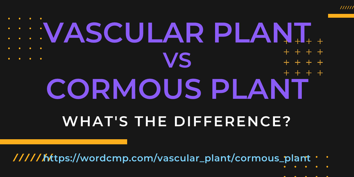 Difference between vascular plant and cormous plant