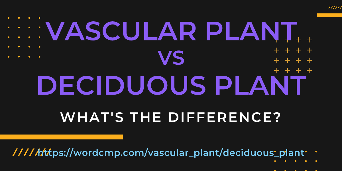 Difference between vascular plant and deciduous plant