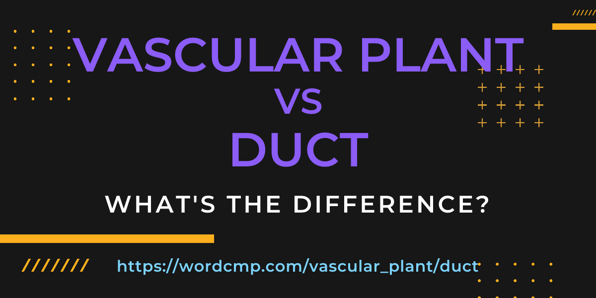 Difference between vascular plant and duct