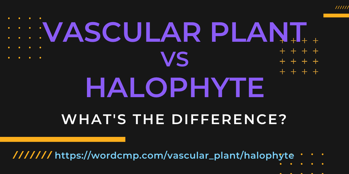 Difference between vascular plant and halophyte