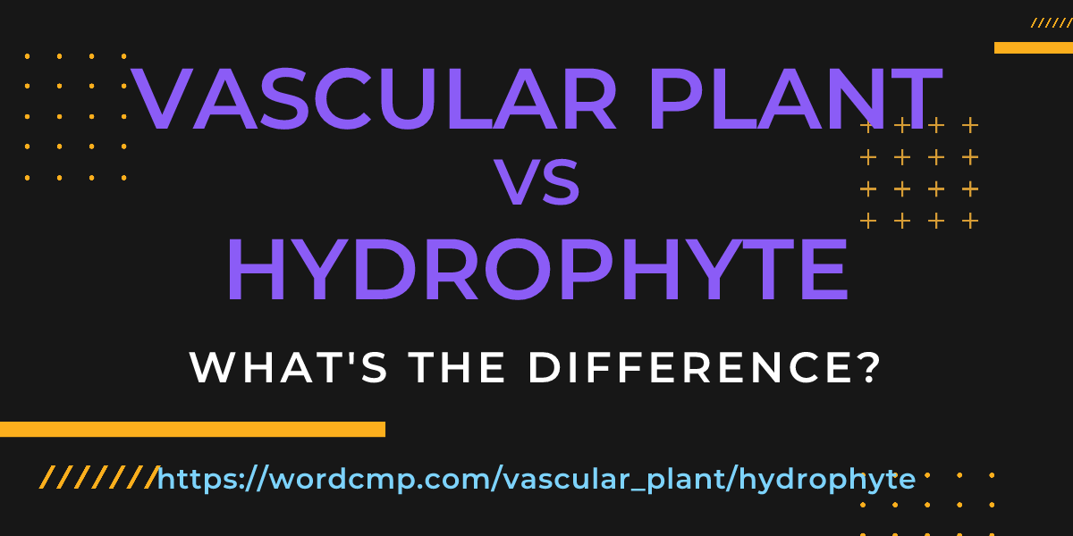 Difference between vascular plant and hydrophyte