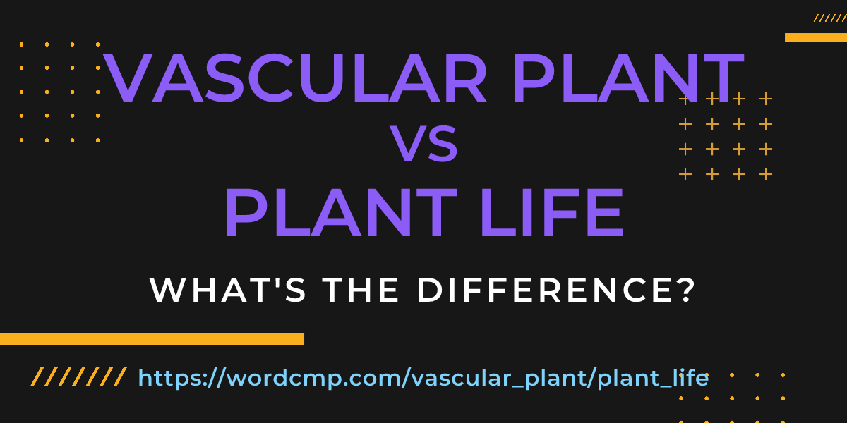 Difference between vascular plant and plant life