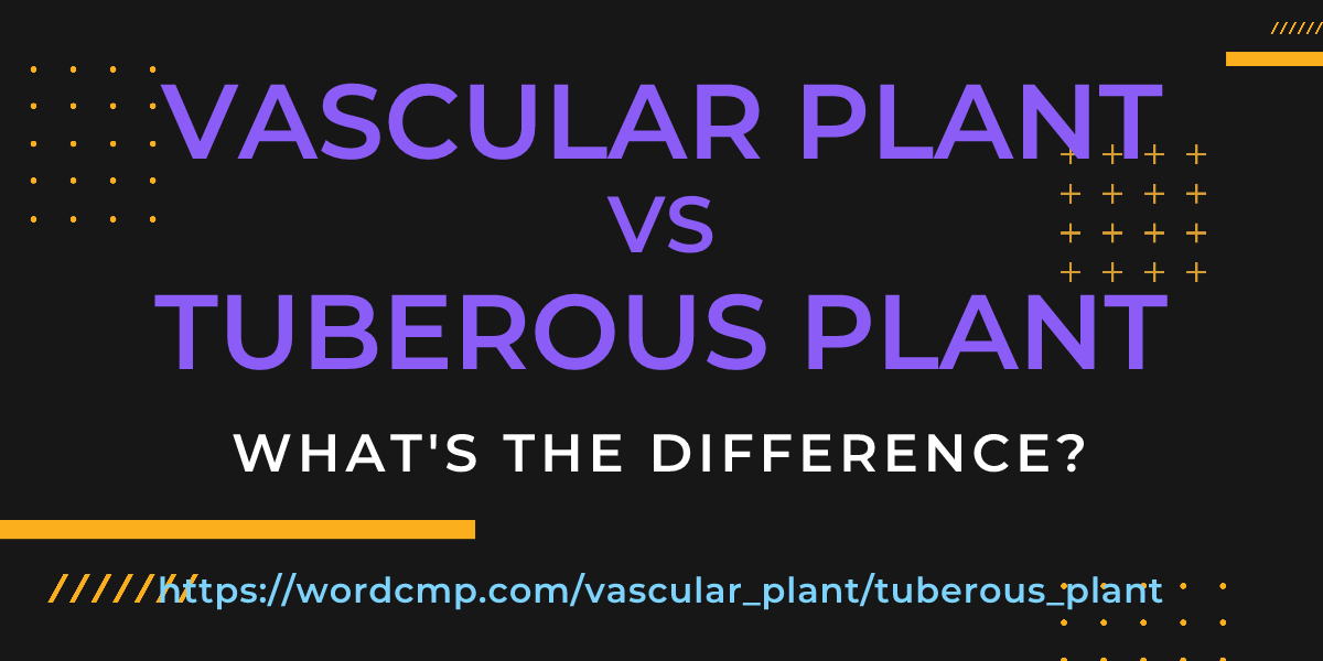 Difference between vascular plant and tuberous plant