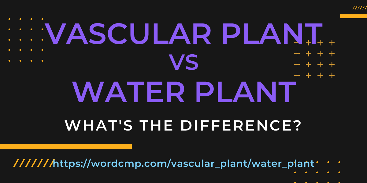 Difference between vascular plant and water plant