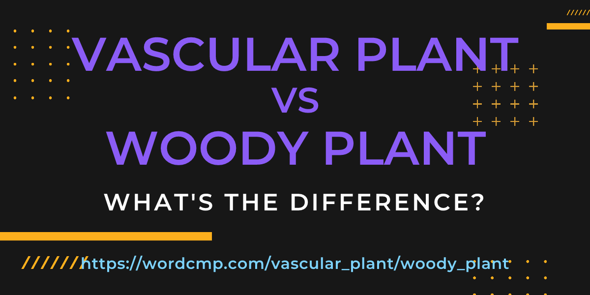 Difference between vascular plant and woody plant
