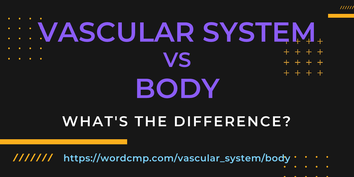 Difference between vascular system and body