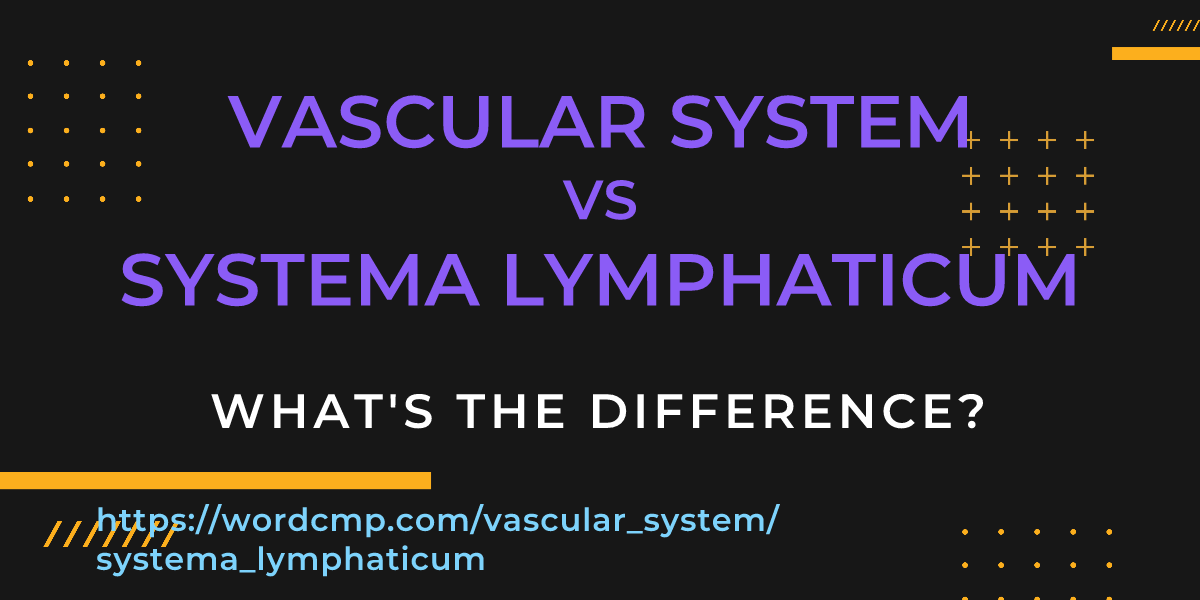 Difference between vascular system and systema lymphaticum