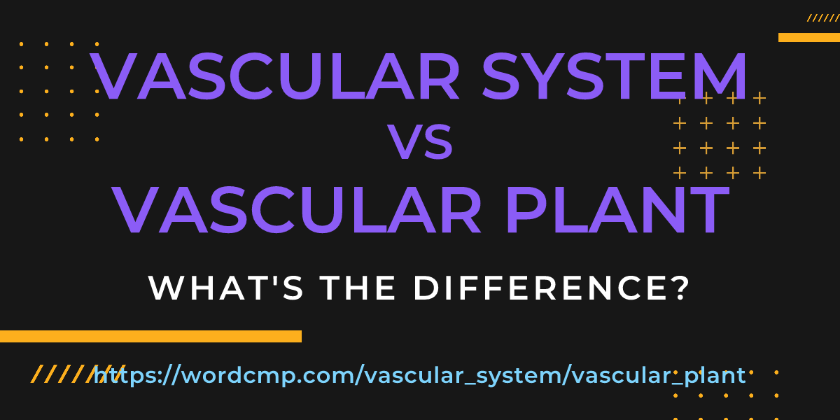 Difference between vascular system and vascular plant