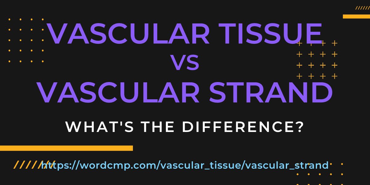 Difference between vascular tissue and vascular strand