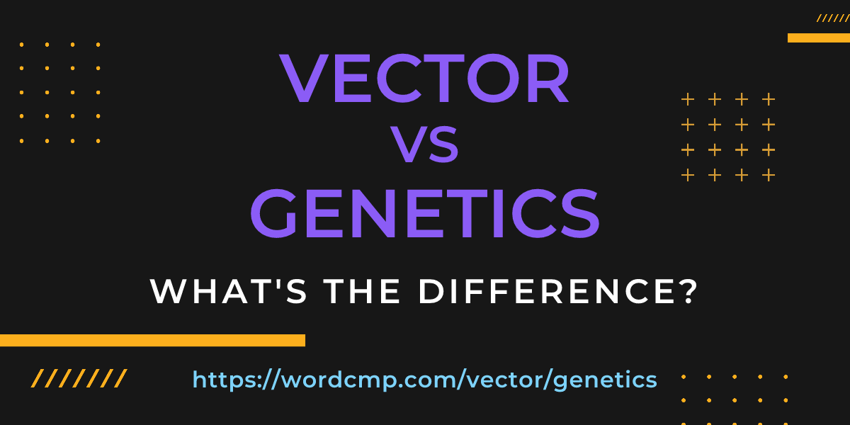 Difference between vector and genetics
