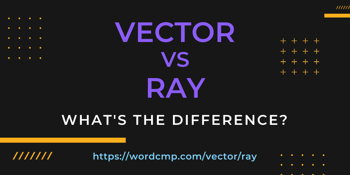 Difference between vector and ray