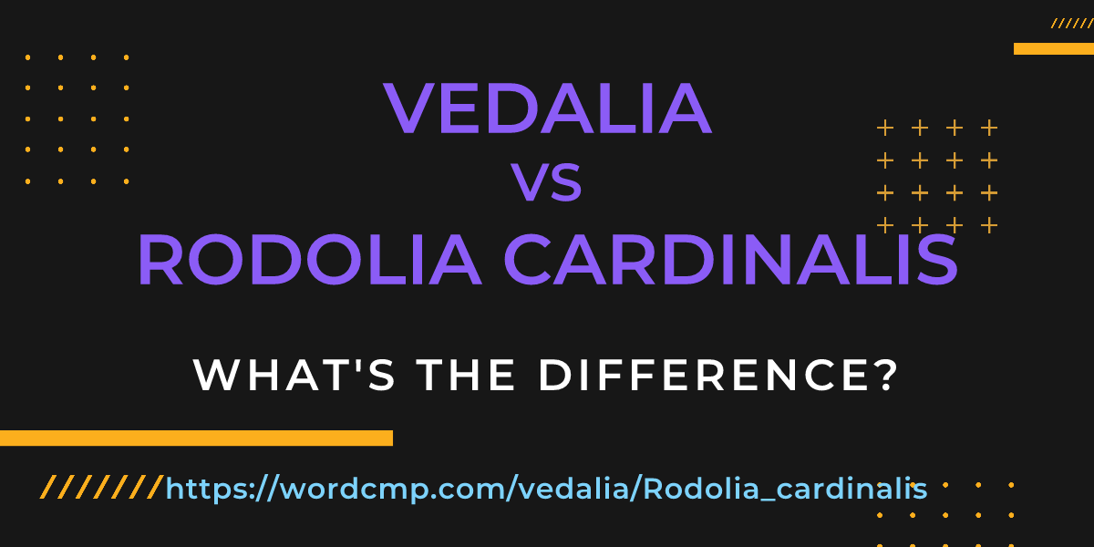 Difference between vedalia and Rodolia cardinalis