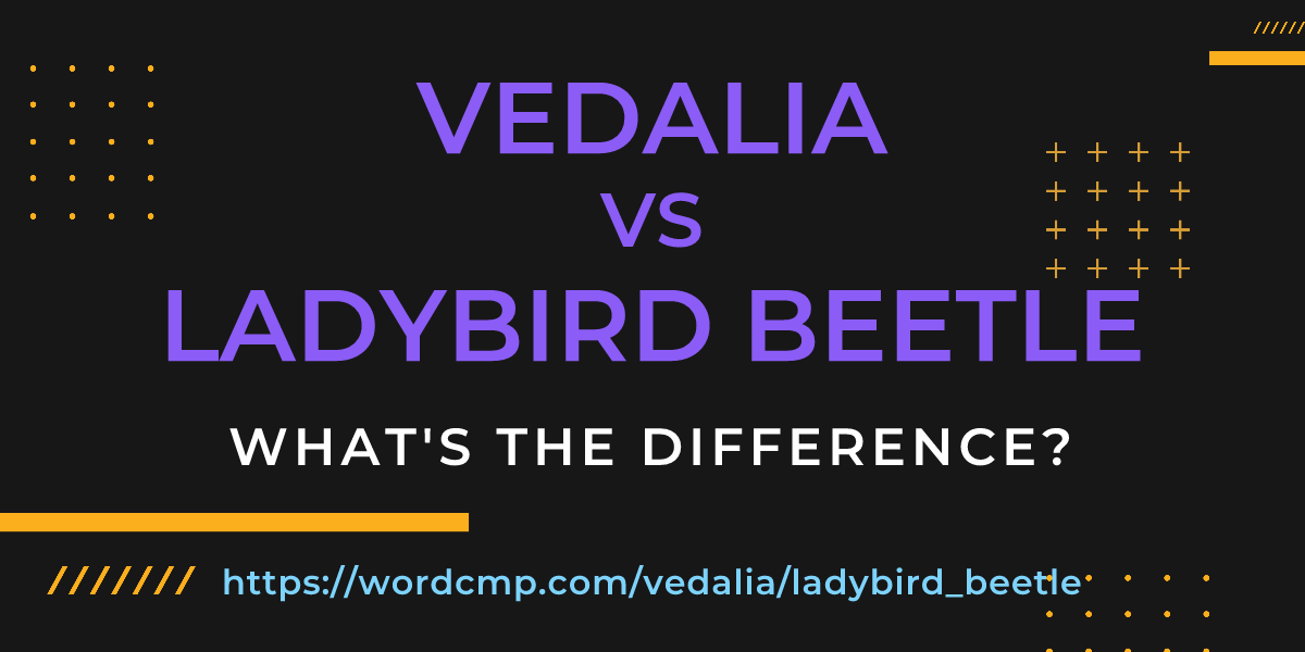 Difference between vedalia and ladybird beetle