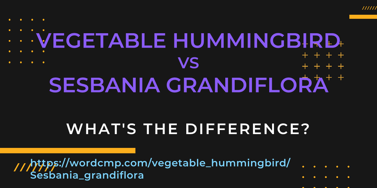Difference between vegetable hummingbird and Sesbania grandiflora
