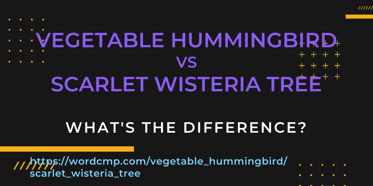 Difference between vegetable hummingbird and scarlet wisteria tree