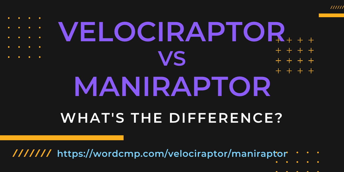 Difference between velociraptor and maniraptor