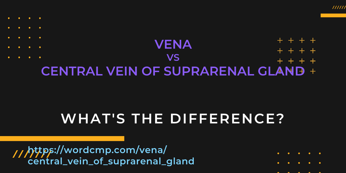 Difference between vena and central vein of suprarenal gland