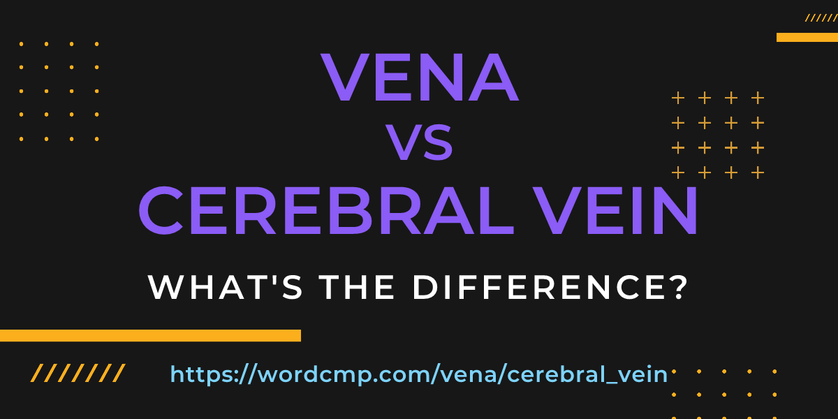 Difference between vena and cerebral vein