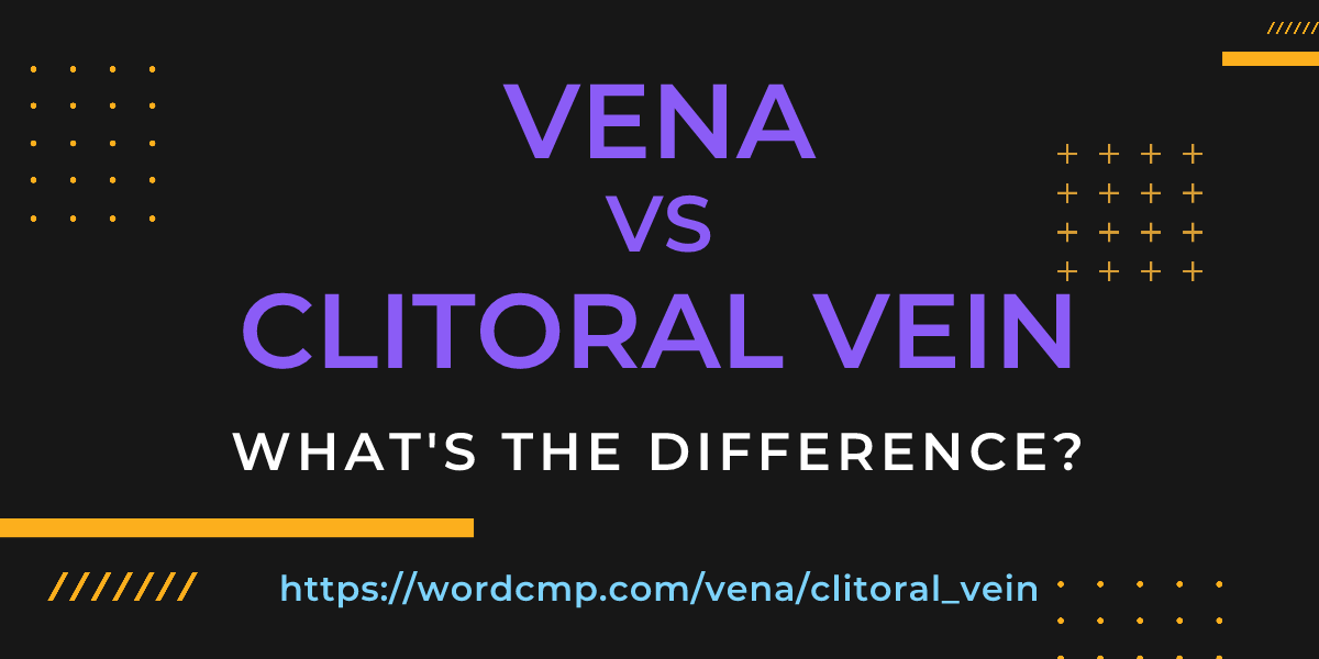 Difference between vena and clitoral vein